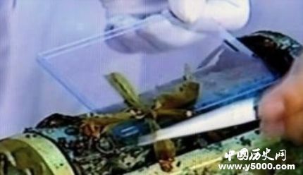 太山龍泉寺金棺出土十多牛為何不打開？僅因為一個蝴蝶結(jié)