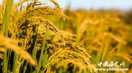 沈?qū)W年生平簡介沈?qū)W年的成就如何評價沈?qū)W年？