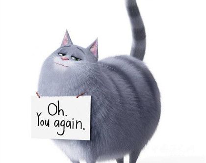 愛寵大機(jī)密2劇情故事介紹什么時(shí)候上映愛寵大機(jī)密觀后感 愛寵大機(jī)密2劇情故事介紹什么時(shí)候上映愛寵大機(jī)密觀后感