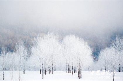 東北簡介東北名稱來源東北的歷史來源 東北簡介東北名稱來源東北的歷史來源