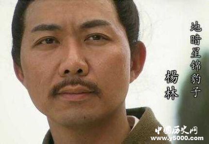 楊林生平簡介楊林的故事楊林的結(jié)局如何？