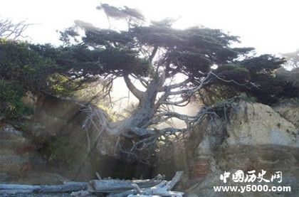 f3b3a76c2be27555bfb0a4dee55aeb15.jpg f3b3a76c2be27555bfb0a4dee55aeb15.jpg