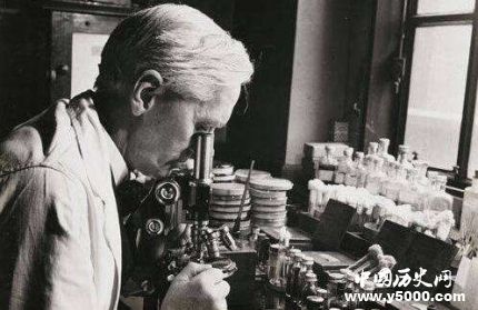 弗萊明生平故事簡介弗萊明是怎樣發(fā)現(xiàn)青霉素的？