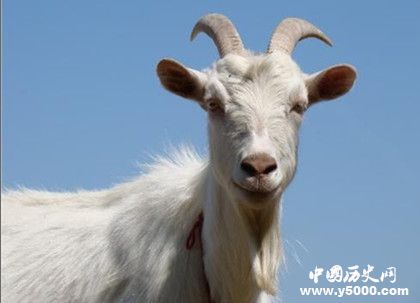 動物能分辨各種顏色嗎 動物的視覺是什么樣的 動物能分辨各種顏色嗎 動物的視覺是什么樣的