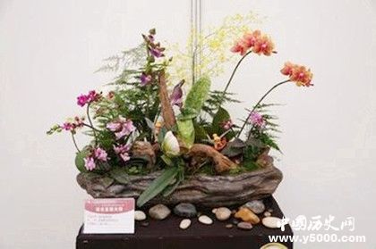 2019北京迎春年宵花展開幕時間地點花卉品種售價多少 2019北京迎春年宵花展開幕時間地點花卉品種售價多少