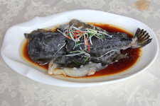 海參斑魚(yú)的做法