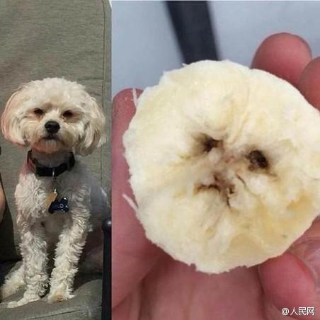 然后其他網(wǎng)友也開始跟著曬圖。