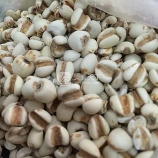 紅豆米仁養(yǎng)生粥