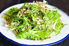 苦菊怎么涼拌