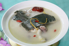 甲魚(yú)湯的做法