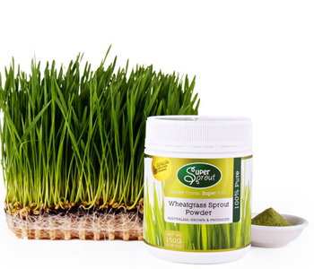 有機(jī)小麥草粉 有機(jī)小麥草粉的作用 有機(jī)小麥草粉怎么吃 小麥草粉哪個牌子好