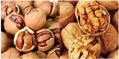 如何輕松識別薄皮核桃和紙皮核桃