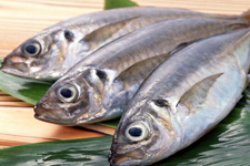 海魚怎么做不腥