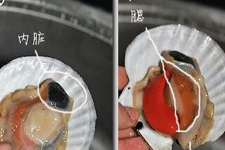 扇貝怎么洗
