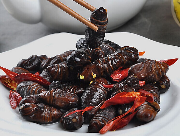 蠶蛹怎么吃