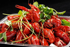 瑪?shù)铝?/ data-vYV8=