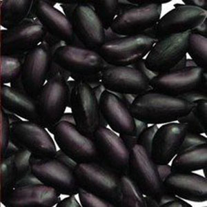 黑小麥的功效與作用 黑小麥的品種 黑小麥的價(jià)格