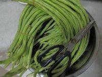 腌酸豆角的做法步驟1