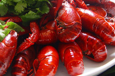 瑪?shù)铝?/ data-5n5x=