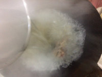 蘿卜絲泥猛魚湯的做法步驟4