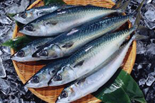 鲅魚餃子的做法