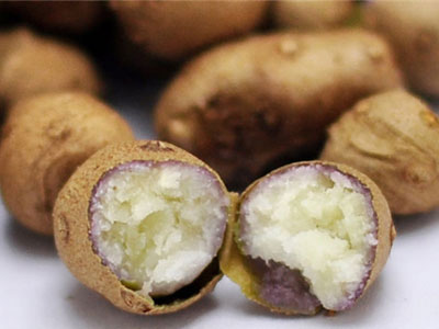 發(fā)芽的山藥豆能吃嗎，山藥豆怎么長期保存