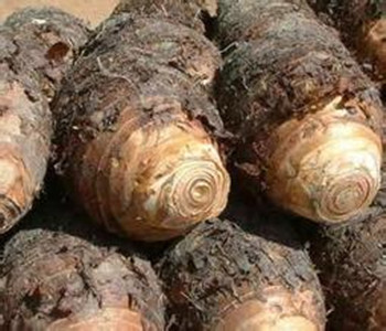 荔浦芋頭的營(yíng)養(yǎng)價(jià)值 荔浦芋頭的做法 荔浦芋頭的功效