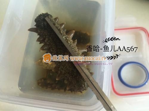 發(fā)海參的做法