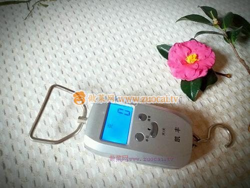 人參藥膳雞湯的做法