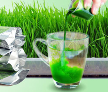 有機(jī)小麥草粉 有機(jī)小麥草粉的作用 有機(jī)小麥草粉怎么吃 小麥草粉哪個牌子好