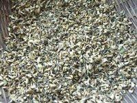 自曬干槐花的做法步驟7