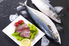 鲅魚餃子的做法