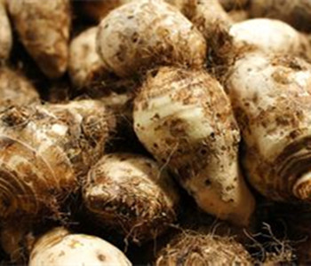 荔浦芋頭的營(yíng)養(yǎng)價(jià)值 荔浦芋頭的做法 荔浦芋頭的功效