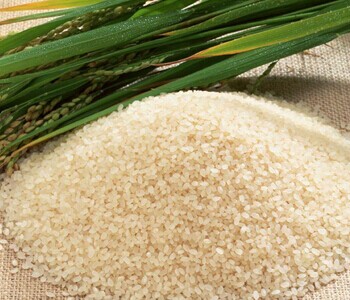 大米的熱量 大米的吃法 大米的功效 大米生蟲怎么辦