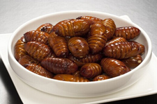 蠶蛹怎么做好吃