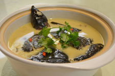 甲魚(yú)湯的做法