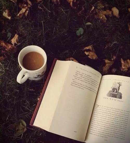 【薦讀】你沒(méi)教養(yǎng)的樣子真丑