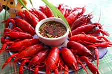 龍蝦,龍蝦怎么做