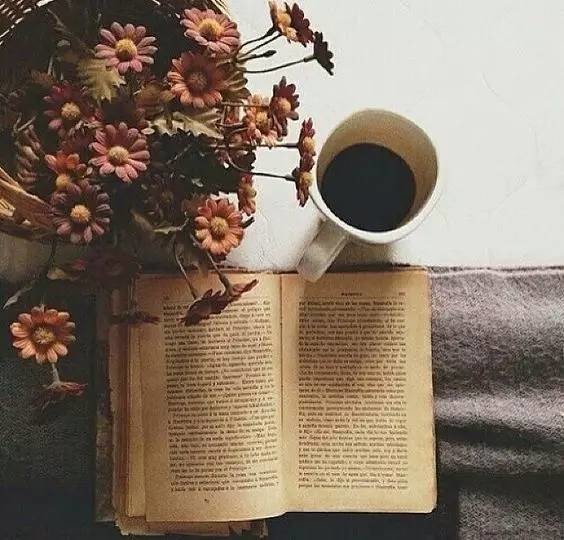 【薦讀】你沒(méi)教養(yǎng)的樣子真丑