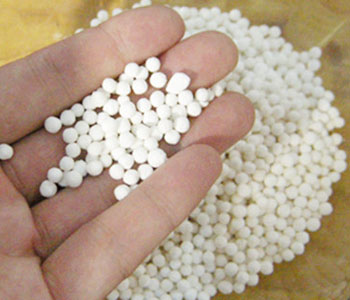 西米的作用 西米的營(yíng)養(yǎng)價(jià)值 西米的熱量 西米怎么洗