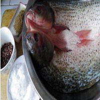 自制臘魚的做法步驟1