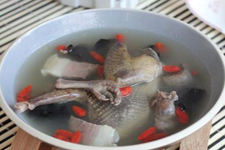 鴿子湯怎么燉