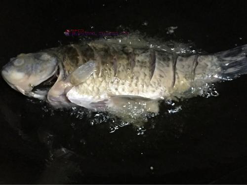 酸菜鯽魚(yú)的做法