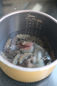 如何泡發(fā)海參的做法步驟5