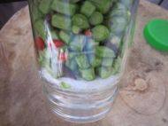 動手腌制美味酸豆角的做法步驟7