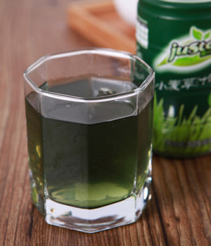 小麥草怎么榨汁 小麥草榨汁食用方法 小麥草榨汁的功效