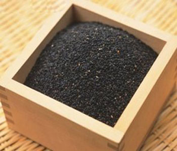 黑小麥的功效與作用 黑小麥的品種 黑小麥的價(jià)格