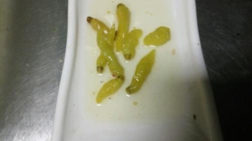 精品酸菜魚(yú)的做法