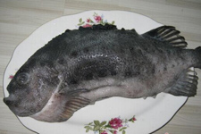 海參斑魚(yú)的做法