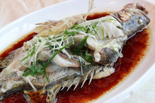 蔥油桂魚(yú)的做法